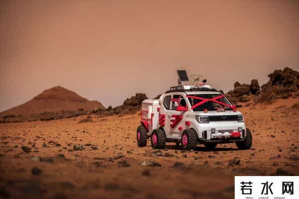 玉桂狗居然是男的