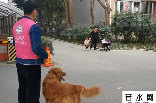 女子过年不回家搞副业十天赚几千