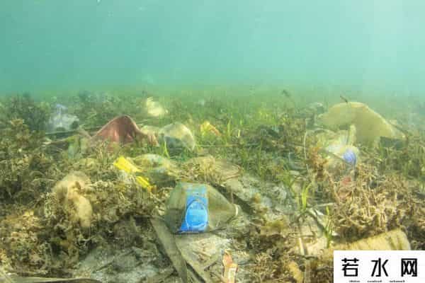 世界上最稀有的颜色