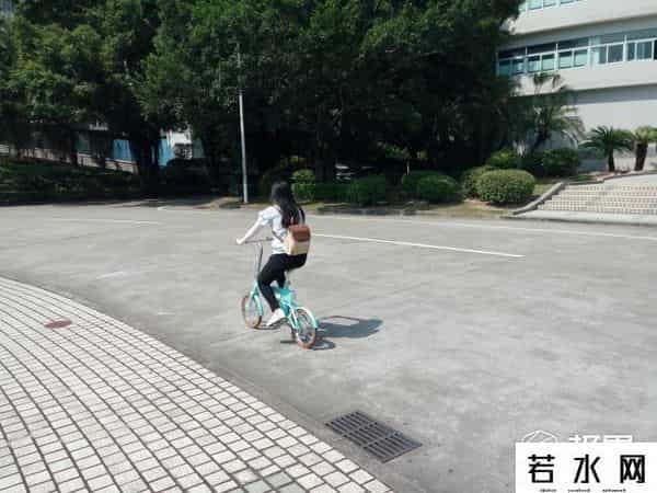 云马电动折叠车