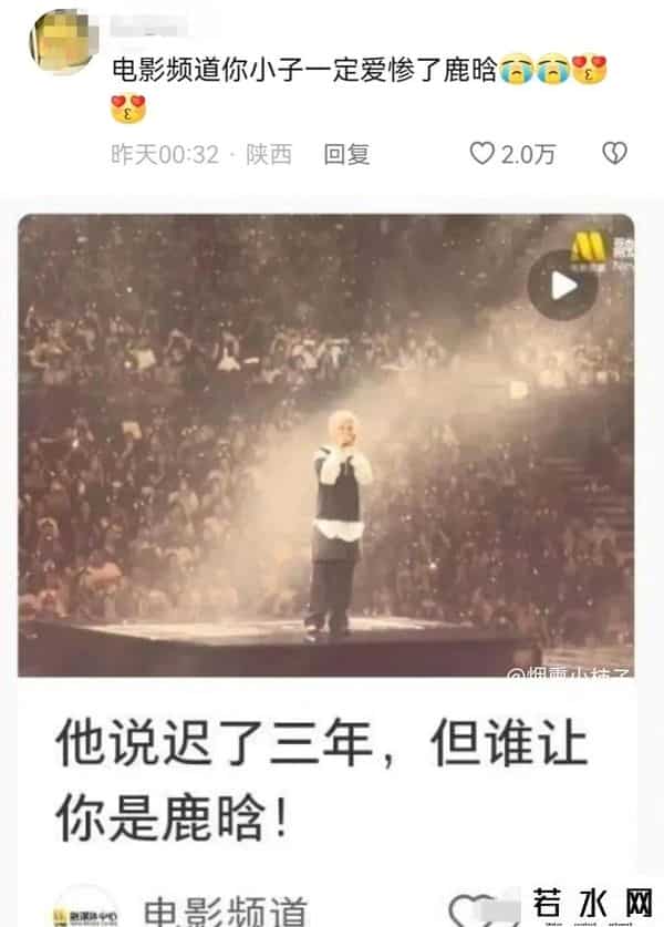 六公主评追星乱象