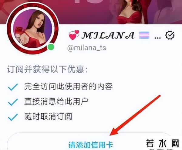 全球最大的成人网站