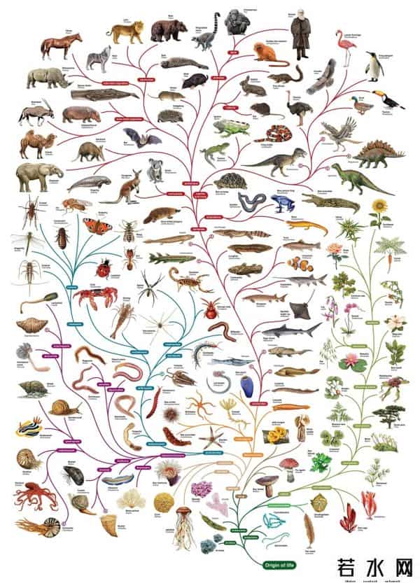 寄生蜂会寄生人类吗