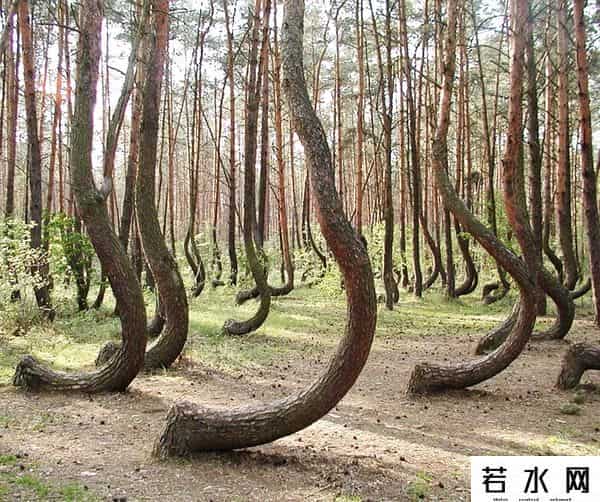 瓦莱里娅 卢基亚诺娃