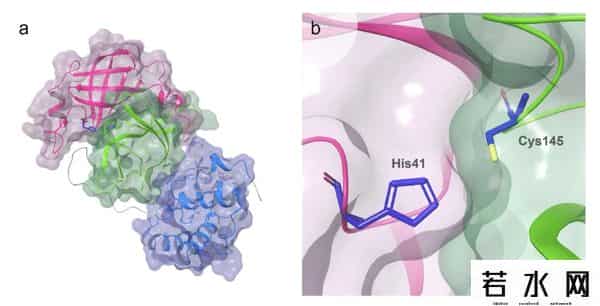 辉瑞新冠口服药PAXLOVID