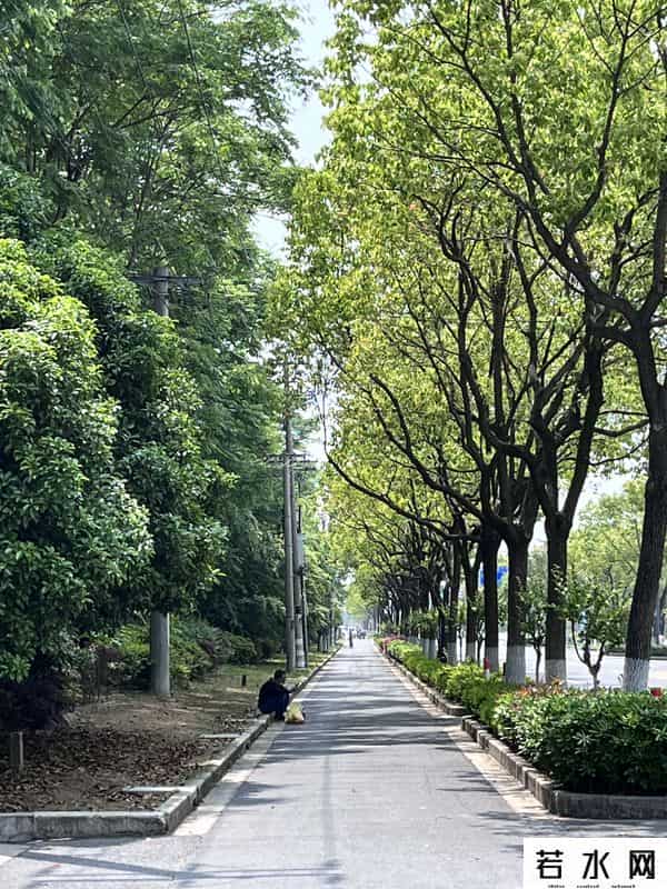 居家隔离时上海居民在干嘛