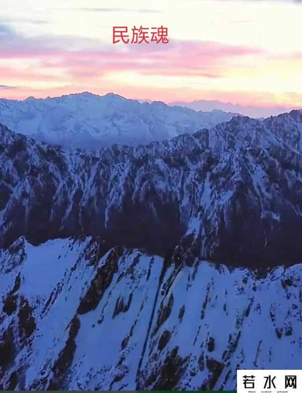 惊喜惊喜为什么停播