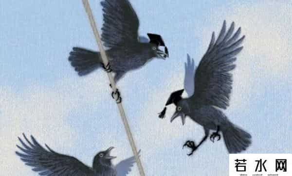 大学生了没 文章