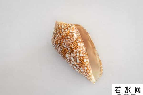 世界上最稀有的颜色