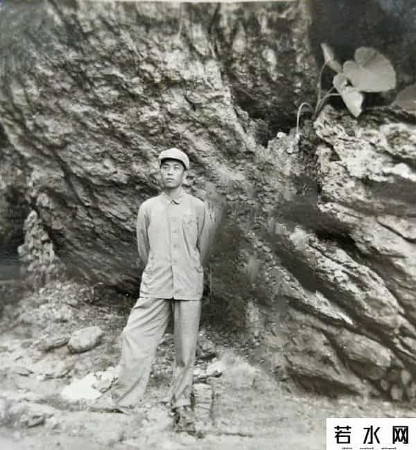 卡哇猪手机电影