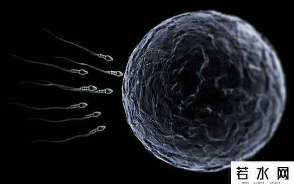 超雄男性长相特点图片