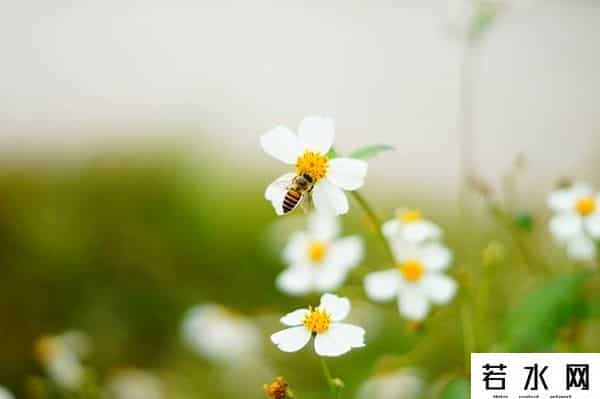 周杰疑讽刺吴亦凡