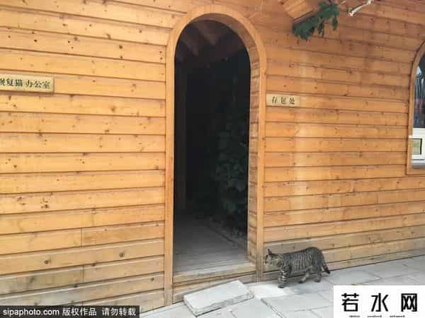 故宫博物院卖萌