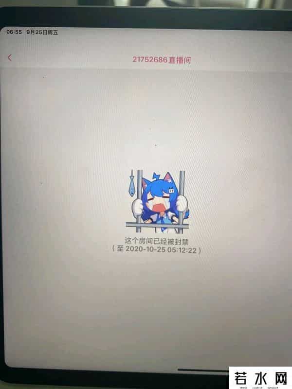 B站VTUBER禁止转播