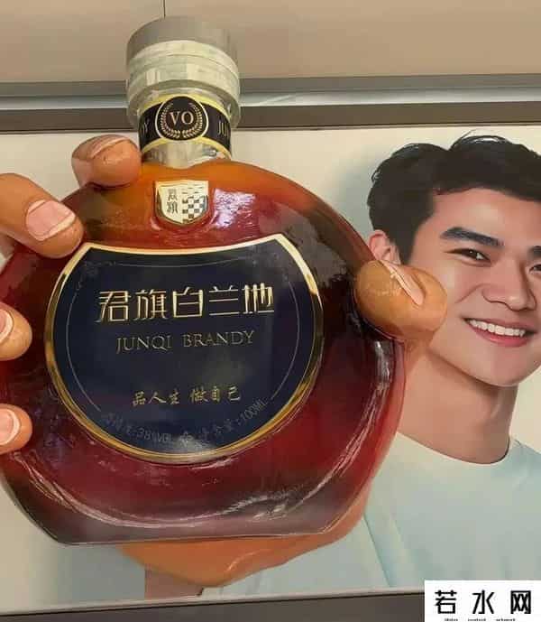 明星代言平面广告