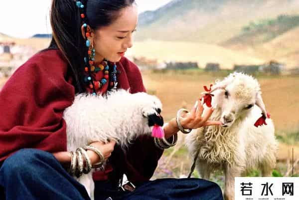 杨丽萍谈解散云南映象团队