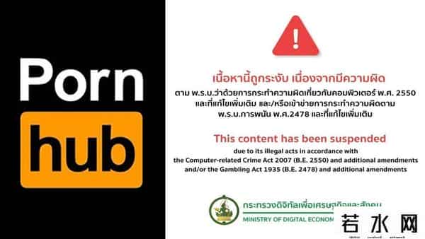 全球最大成人网站P站遭受重创