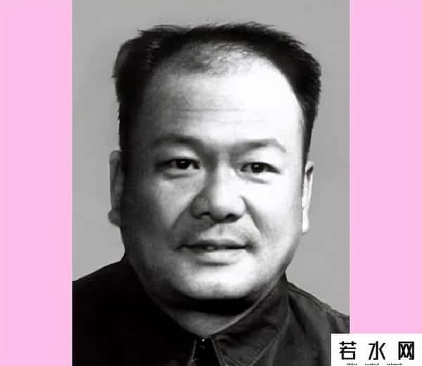 中国第一声优作品