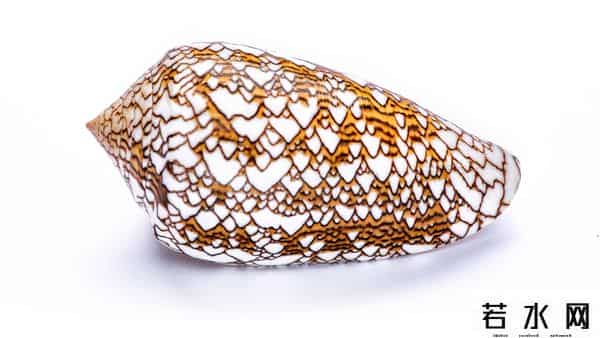 世界上最稀有的颜色