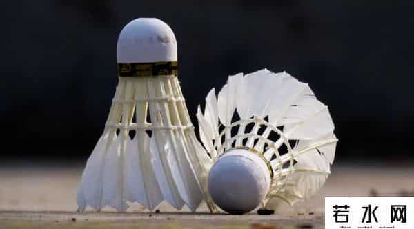 羽毛球场1小时160元仍订不到