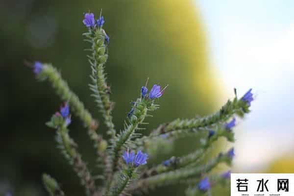 周杰疑讽刺吴亦凡