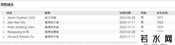 起底驰援许家印的纽顿集团