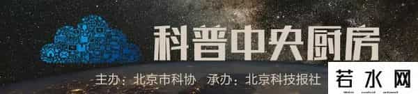 学挖掘机哪家强