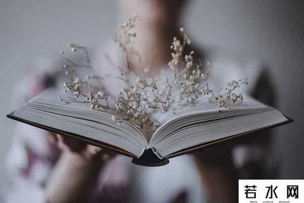 女孩子的圆规是什么梗