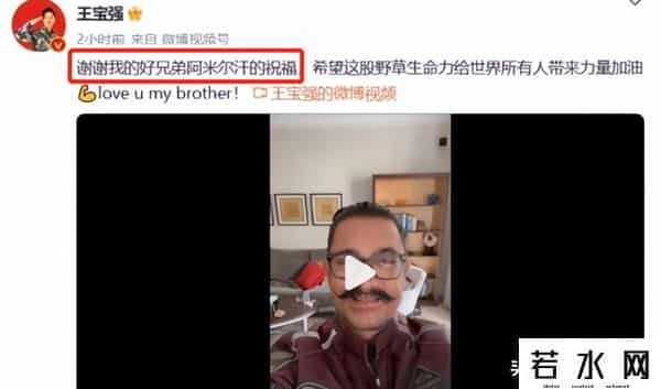 八角笼中预测总票房