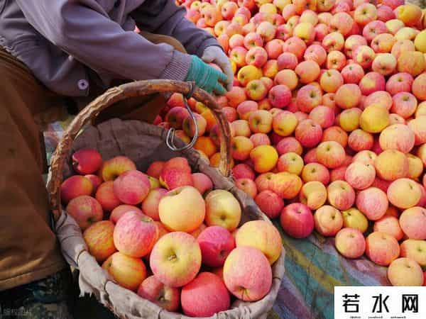 iphone 5上市时间