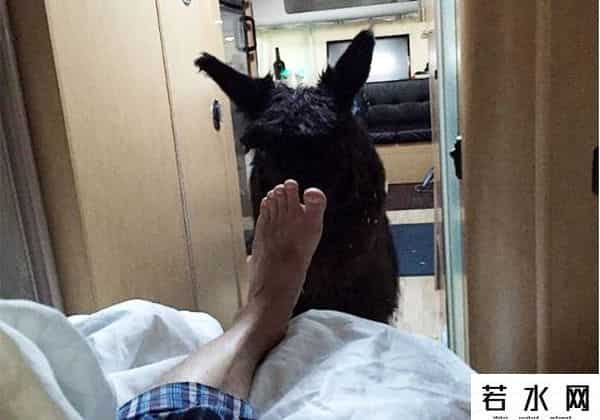 delivering happiness