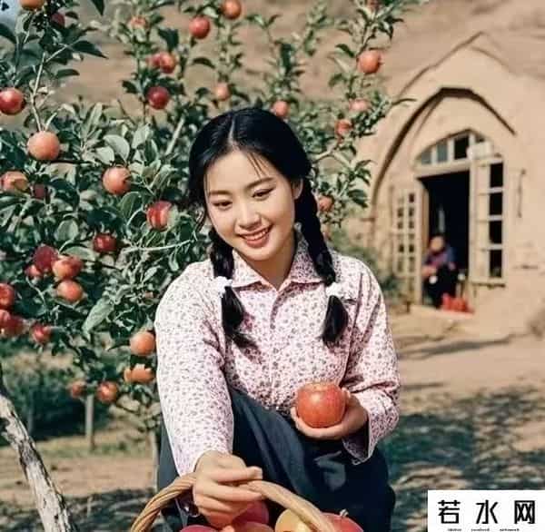 酒店养老走红网络