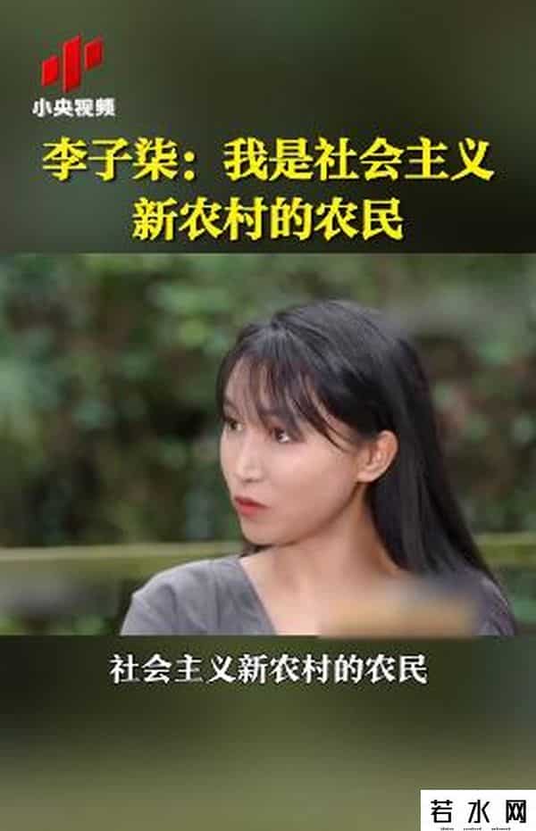 李子柒断更两个多月后发声