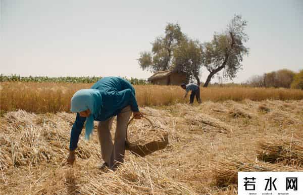 《隐入尘烟》的票房奇迹说明了什么