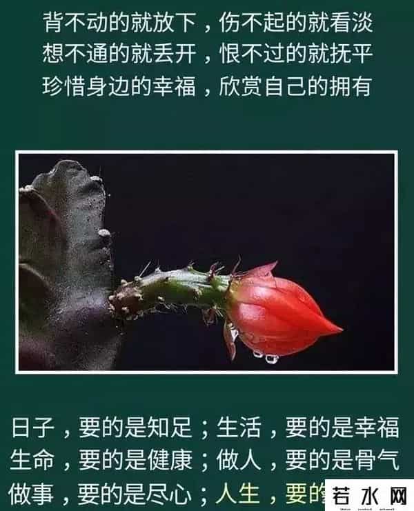 昨天的你的现在的未来