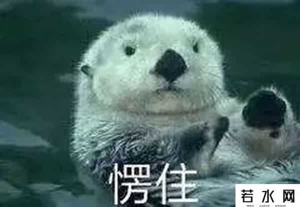 奶茶现在论桶了