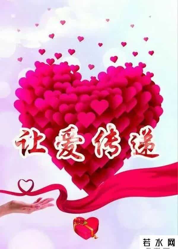 茶百道以胖猫之名捐款100万