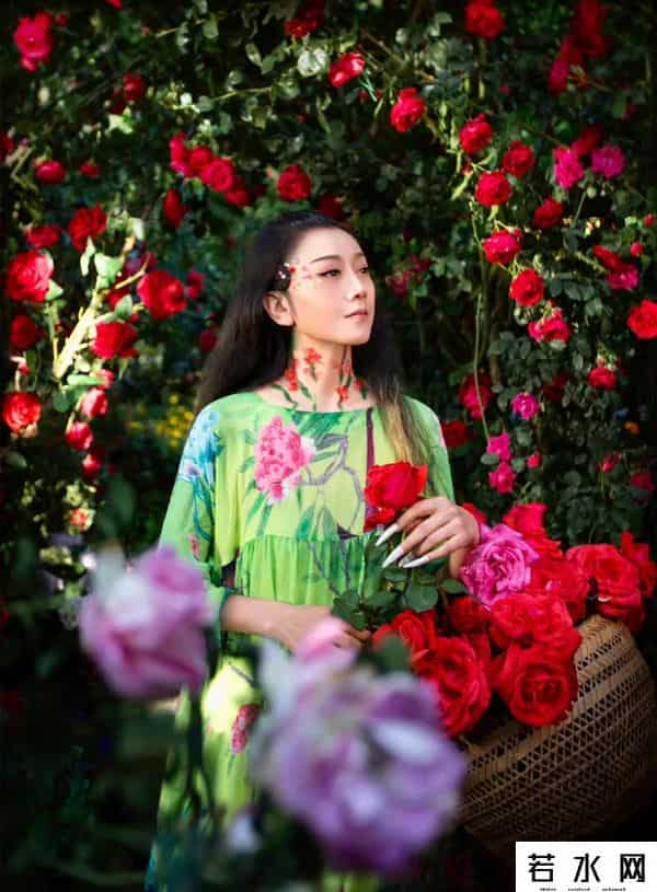 杨丽萍谈解散云南映象团队