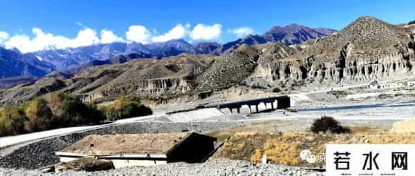 狼群西瓜视频在线观看免费