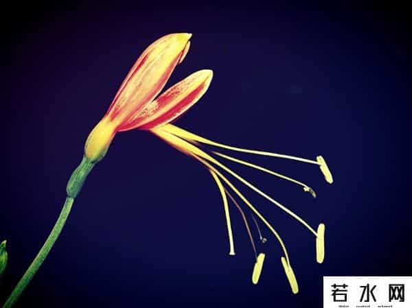 天涯社区一路同行