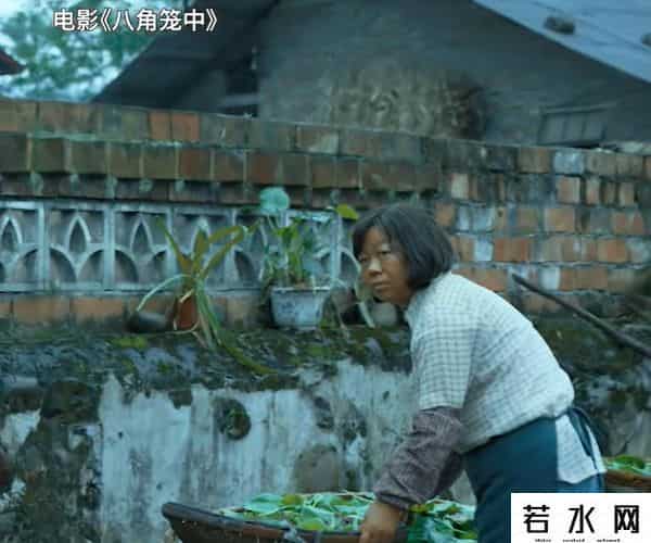 八角笼中预测总票房