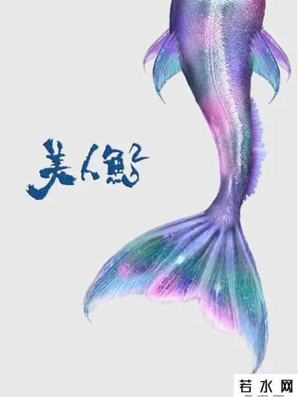 三体电影为什么叫停