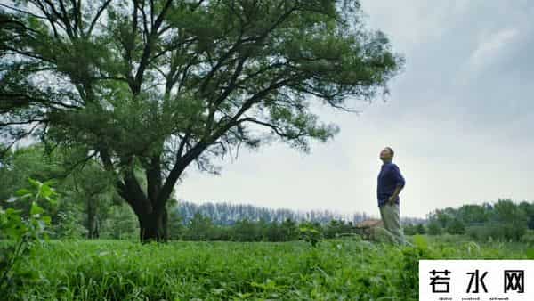 时间的朋友 2019