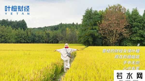 第一波元宇宙公司发不出工资了