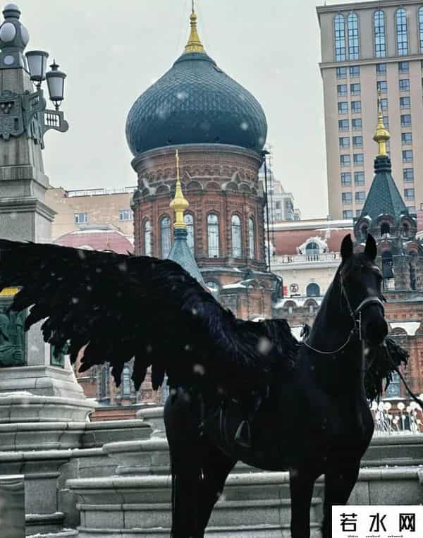 哈尔滨松花江上都铺地毯了