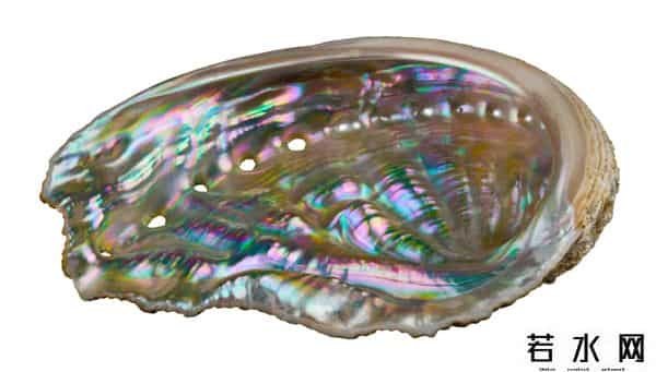 世界上最稀有的颜色