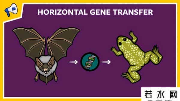 寄生蜂会寄生人类吗