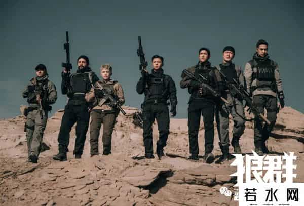 狼群西瓜视频在线观看免费