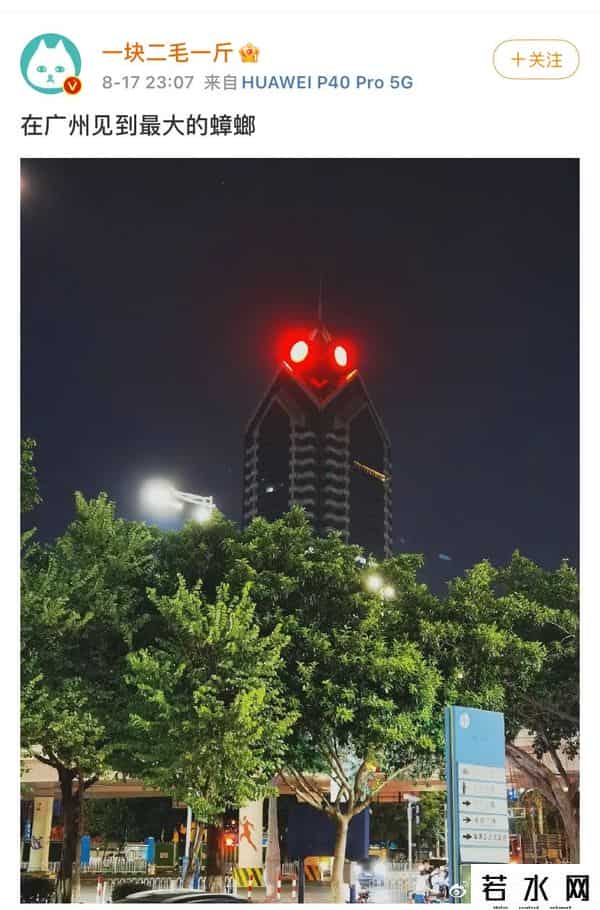 广东最大的蟑螂是白云机场