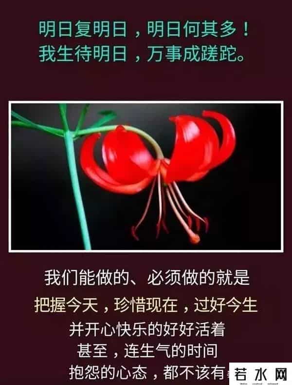 昨天的你的现在的未来